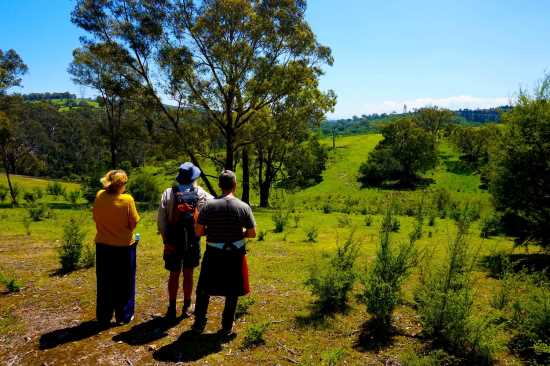 ppcg_bushwalk_group_act